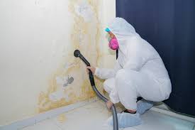 Best Environmental Consulting for Mold Prevention in Rutledge, TN